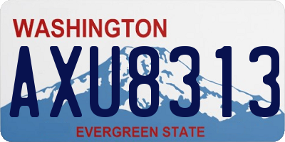 WA license plate AXU8313