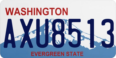 WA license plate AXU8513