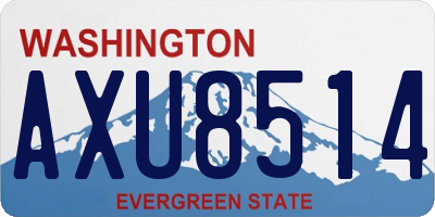 WA license plate AXU8514
