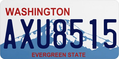 WA license plate AXU8515