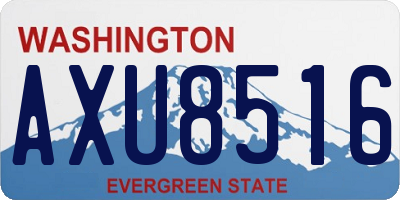 WA license plate AXU8516