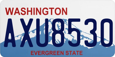 WA license plate AXU8530