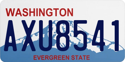 WA license plate AXU8541