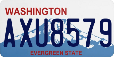 WA license plate AXU8579