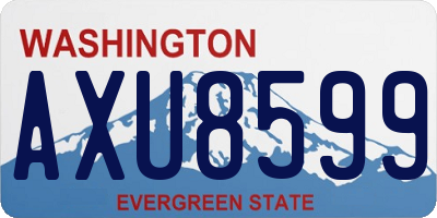 WA license plate AXU8599