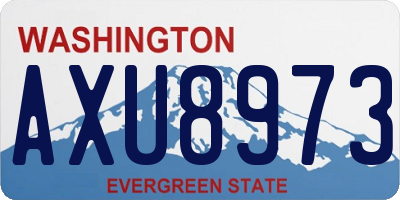 WA license plate AXU8973