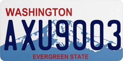 WA license plate AXU9003