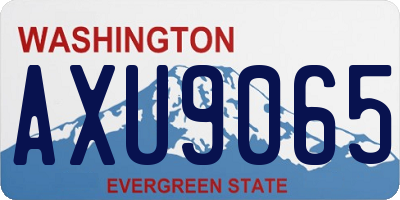 WA license plate AXU9065