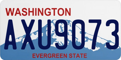 WA license plate AXU9073