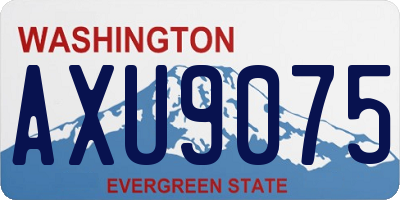 WA license plate AXU9075