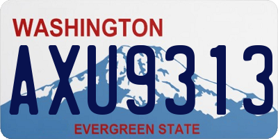 WA license plate AXU9313