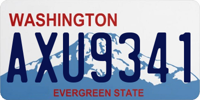 WA license plate AXU9341