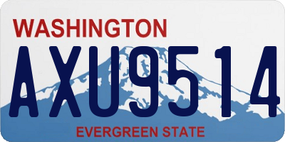 WA license plate AXU9514