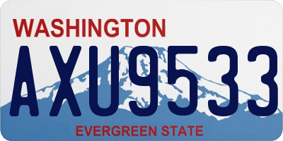 WA license plate AXU9533