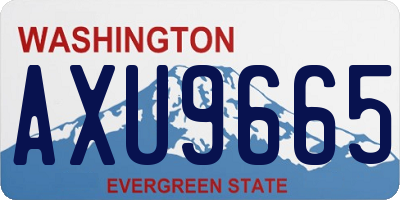 WA license plate AXU9665