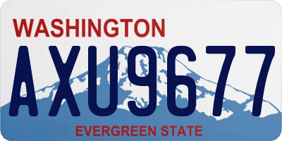 WA license plate AXU9677