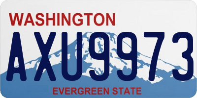 WA license plate AXU9973