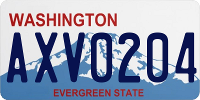 WA license plate AXV0204