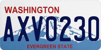 WA license plate AXV0230