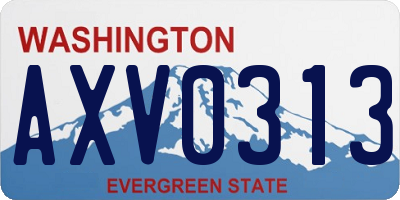 WA license plate AXV0313