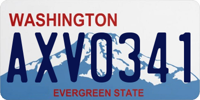 WA license plate AXV0341