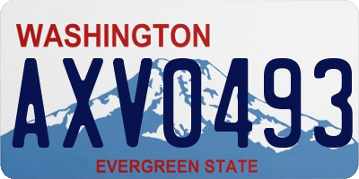 WA license plate AXV0493