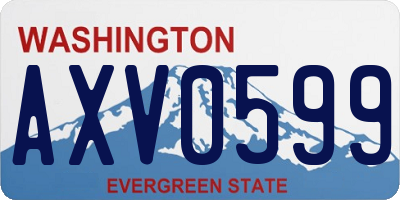 WA license plate AXV0599