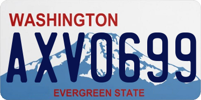 WA license plate AXV0699