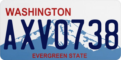 WA license plate AXV0738