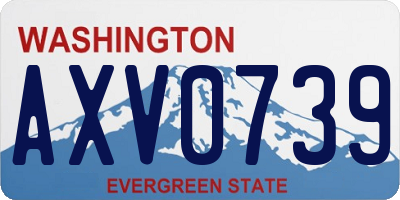 WA license plate AXV0739