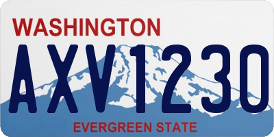 WA license plate AXV1230