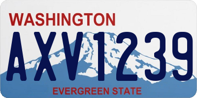WA license plate AXV1239