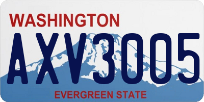 WA license plate AXV3005