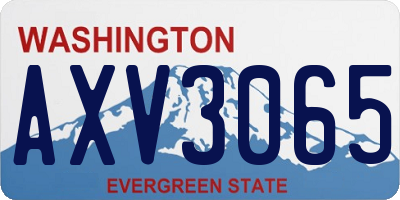 WA license plate AXV3065