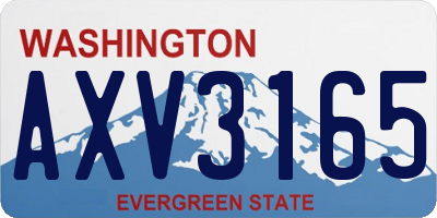 WA license plate AXV3165