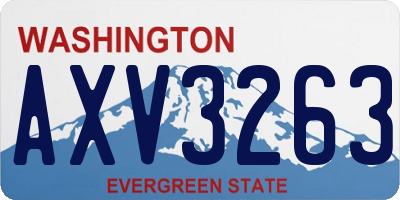 WA license plate AXV3263