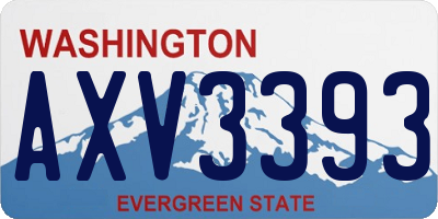 WA license plate AXV3393