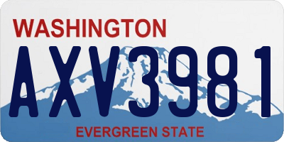 WA license plate AXV3981