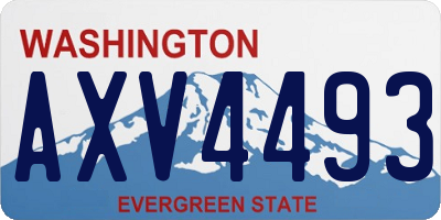 WA license plate AXV4493