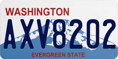 WA license plate AXV8202