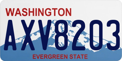 WA license plate AXV8203