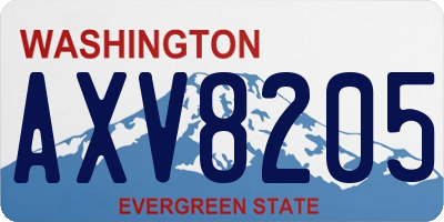 WA license plate AXV8205