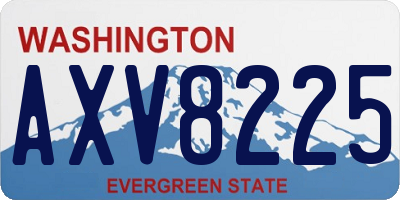 WA license plate AXV8225