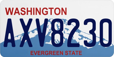 WA license plate AXV8230