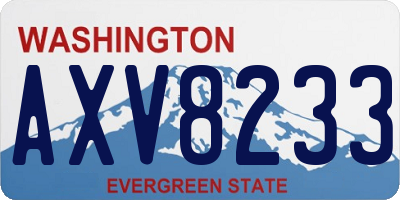 WA license plate AXV8233