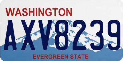 WA license plate AXV8239
