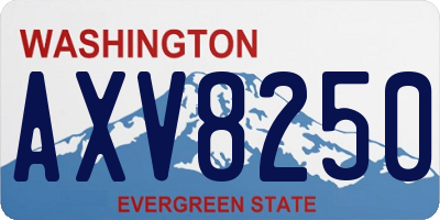 WA license plate AXV8250