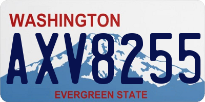 WA license plate AXV8255