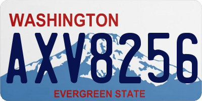 WA license plate AXV8256
