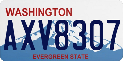 WA license plate AXV8307